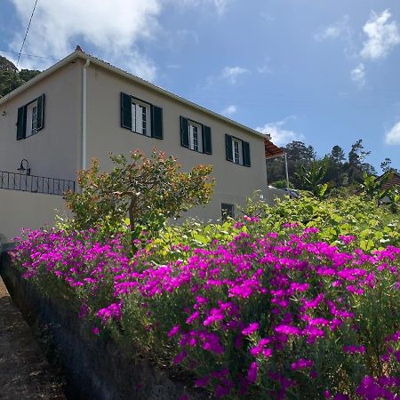 Terra Batista House Villa Porto Da Cruz Ngoại thất bức ảnh