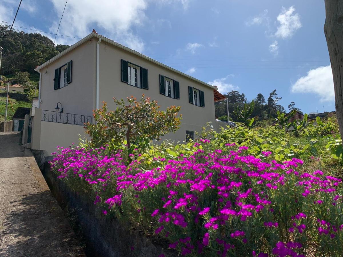 Terra Batista House Villa Porto Da Cruz Ngoại thất bức ảnh